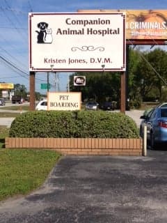 Companion Animal Hospital of North Florida