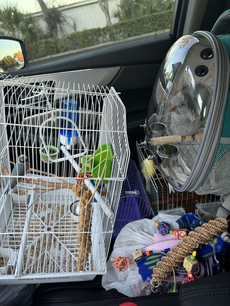 Rena's Pet Supplies