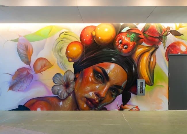 The Calle Collective