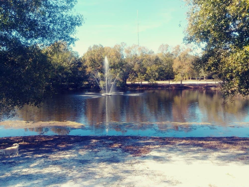 Highland Pines Park