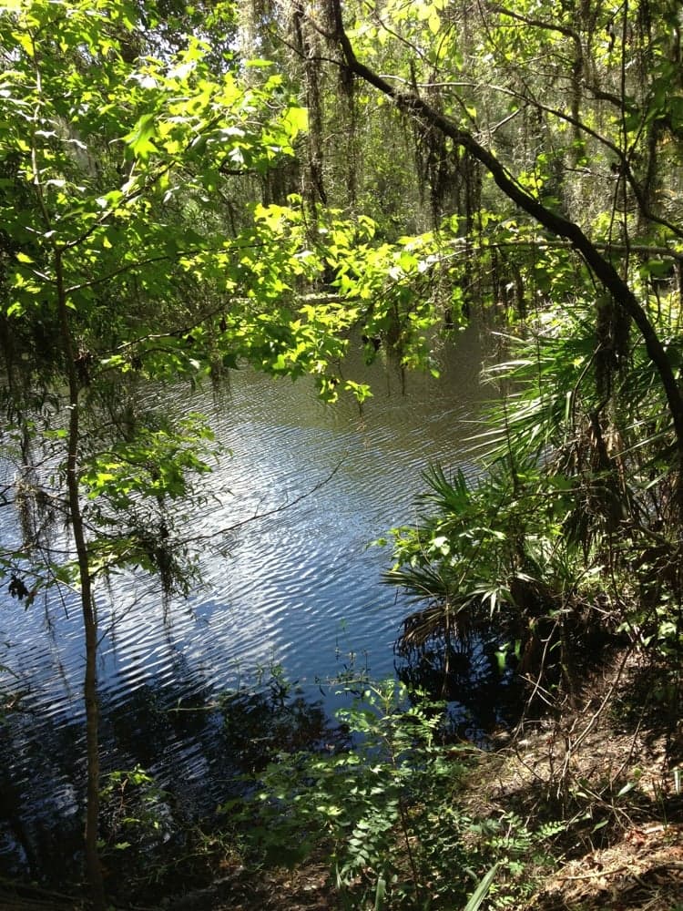 USF Riverfront Park