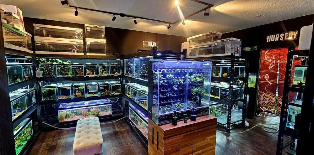 Aquatic Galleria