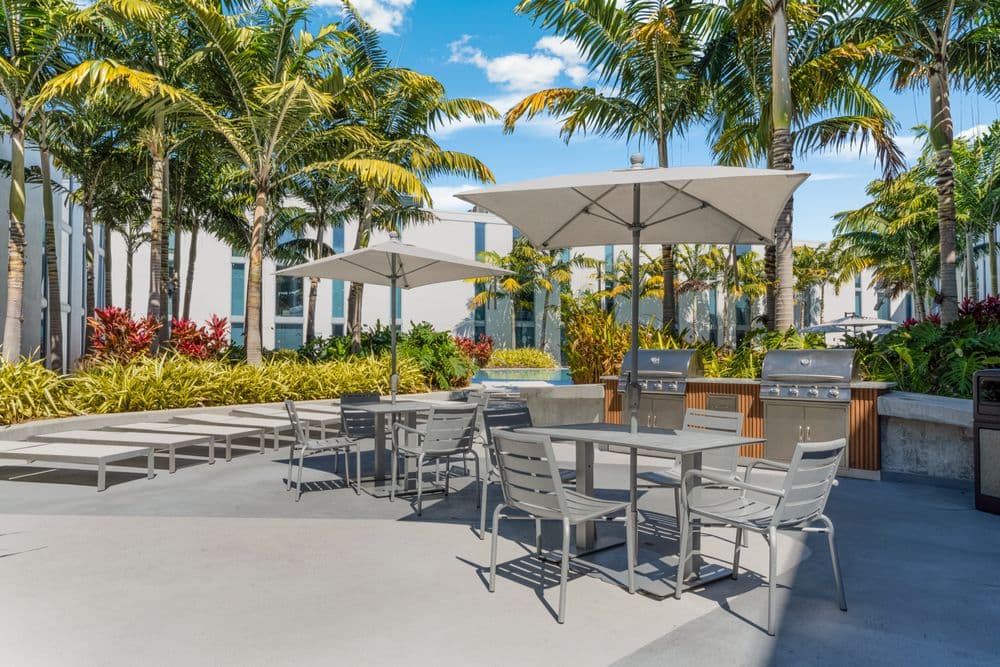 Vox Miami