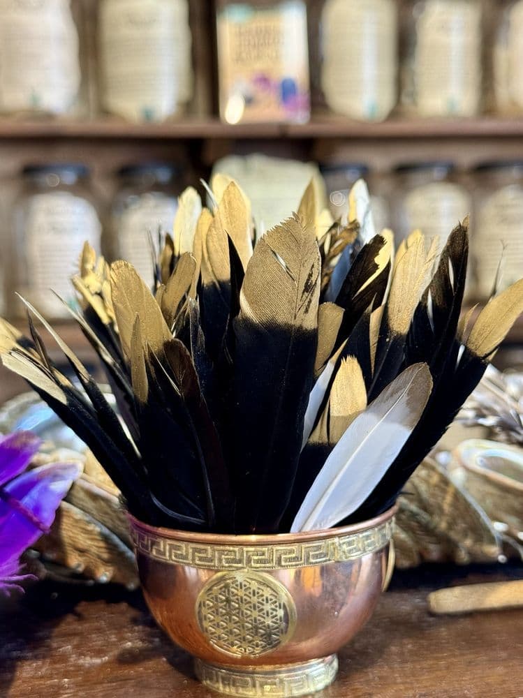 Mystic Minerals Metaphysical Herb Shop