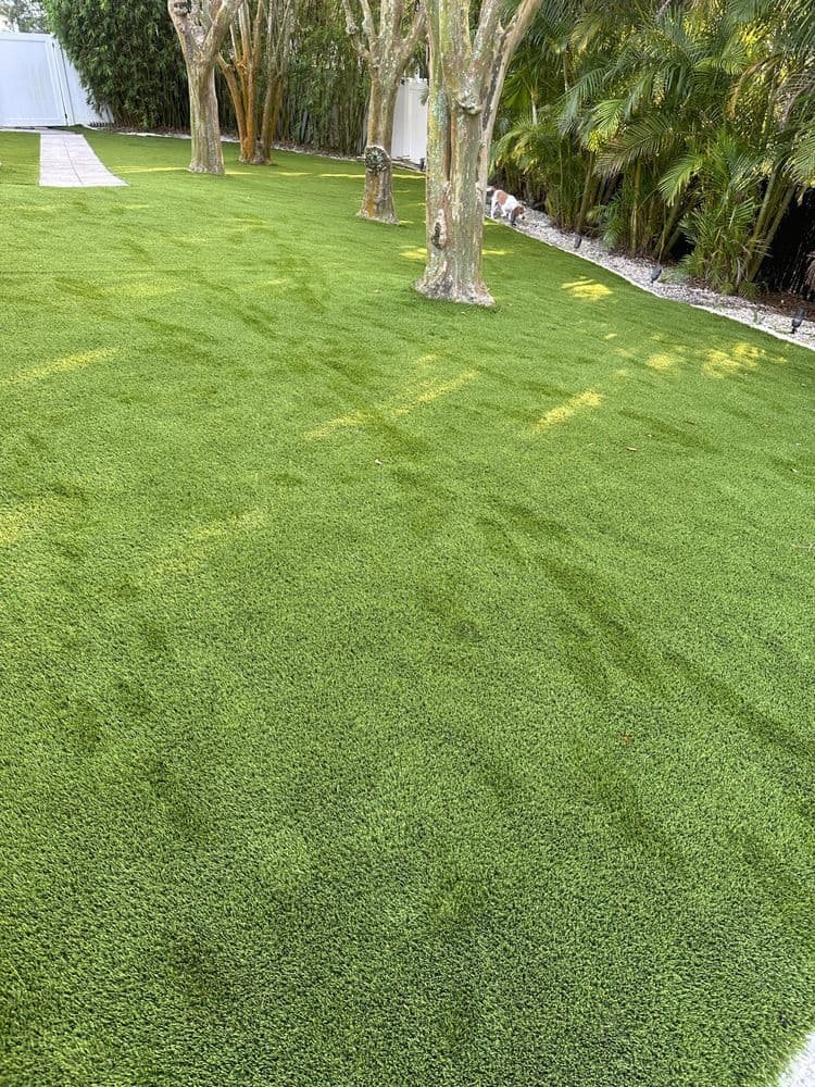 Artificial Turf South Tampa