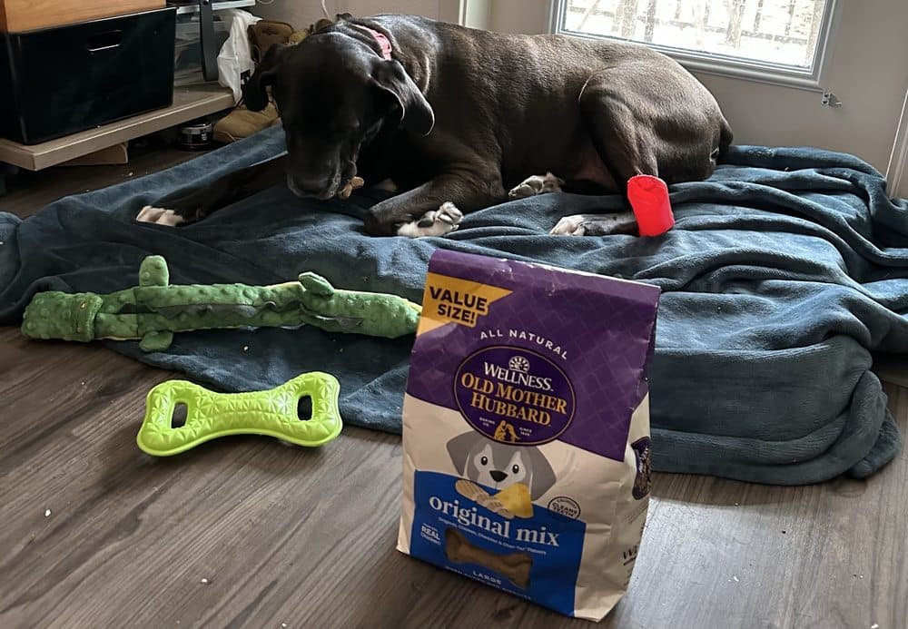 Pet Supermarket