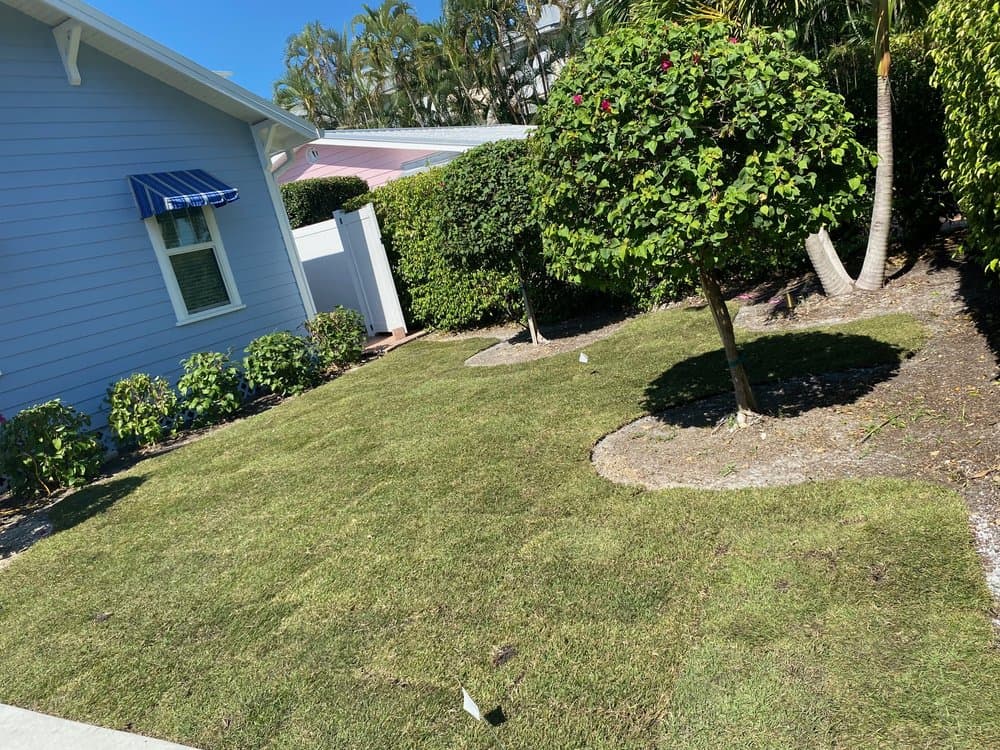 Florida Sod & Ground Solutions