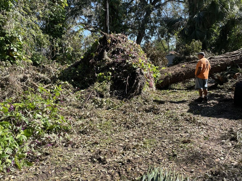 Time To Grind - Stump Grinding