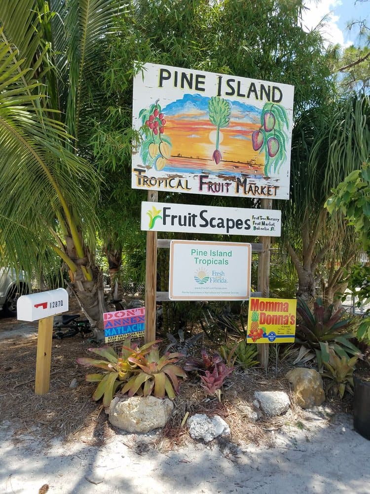 Bea's at Pine Island Tropicals Fruit Stand