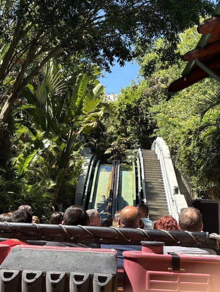 Jurassic World VelociCoaster