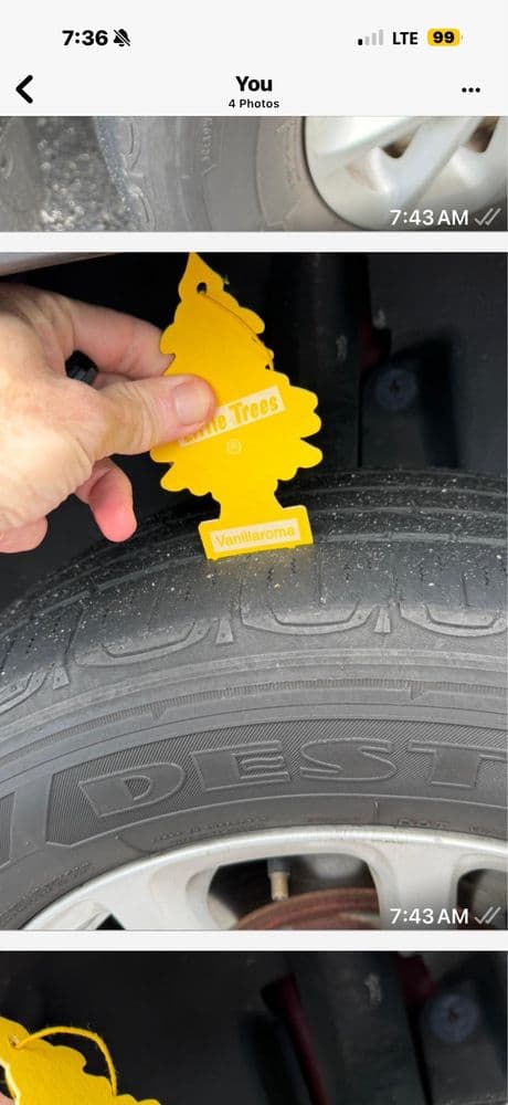 Florida Rental Car