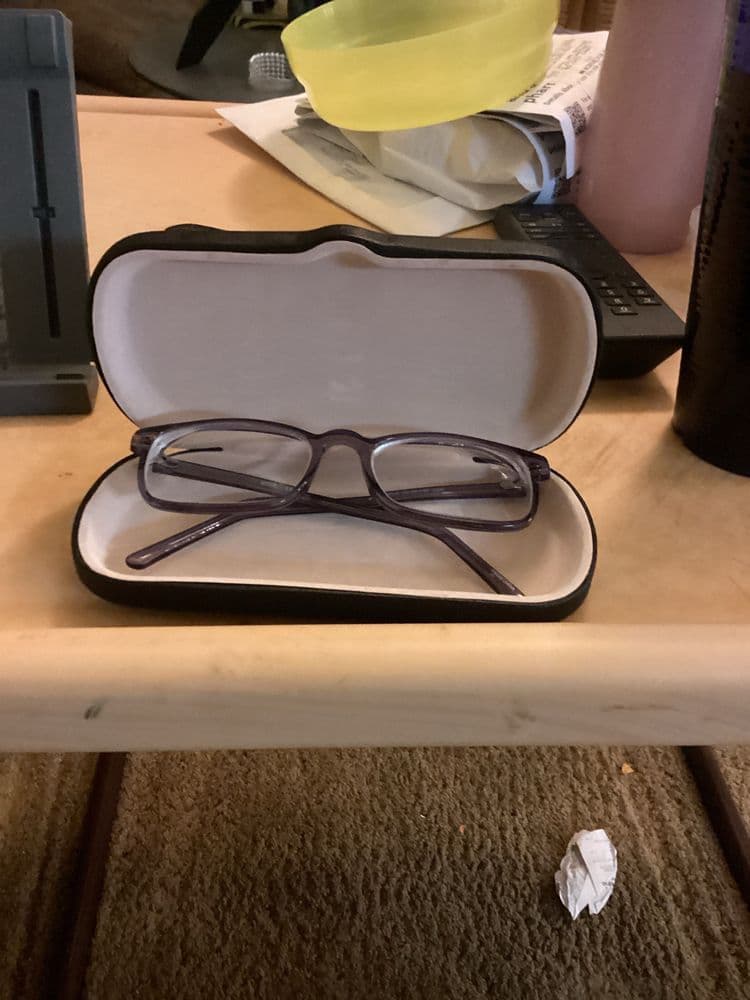Schmidt's Optical and Hearing
