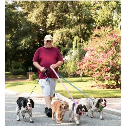 B3 Pet Care