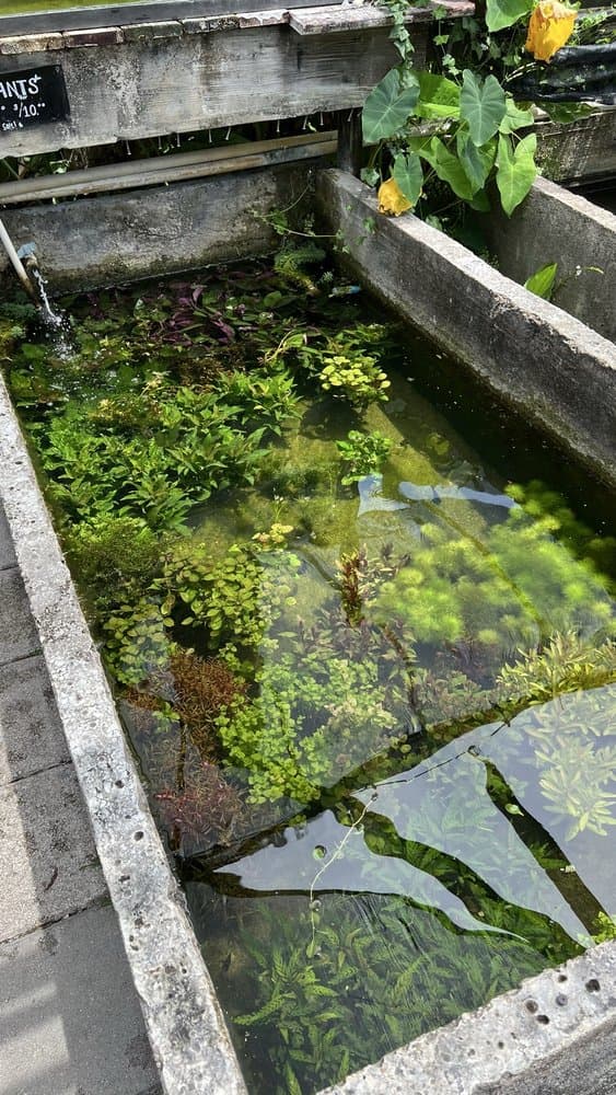 Neighborhood Fish Farm