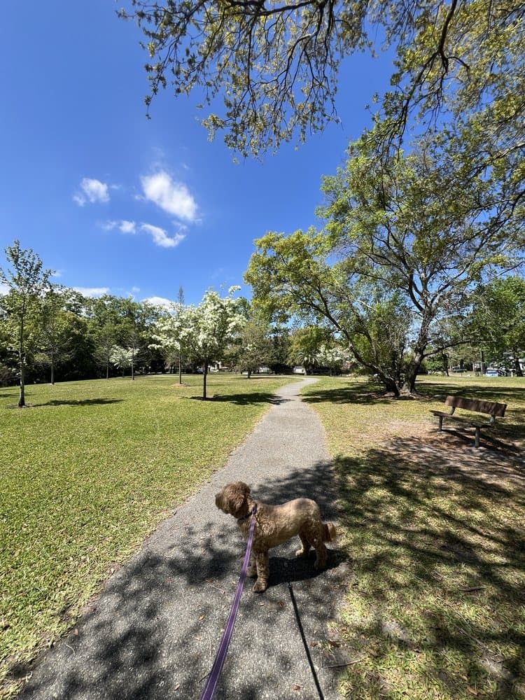 Alexandria Oaks Park