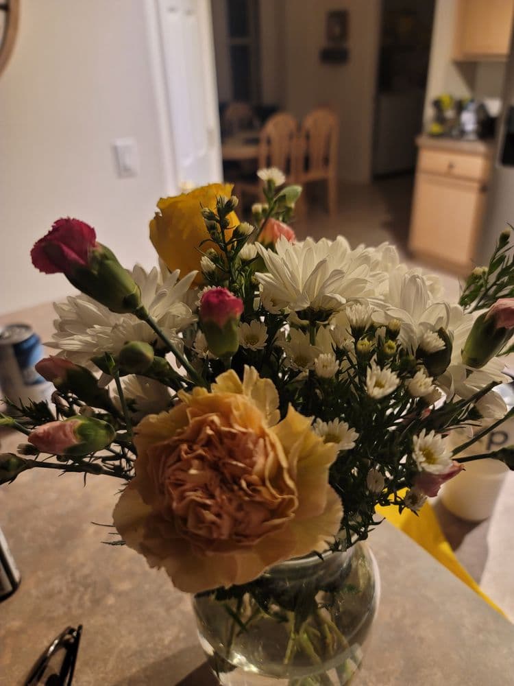 Zinnia Flowers & More