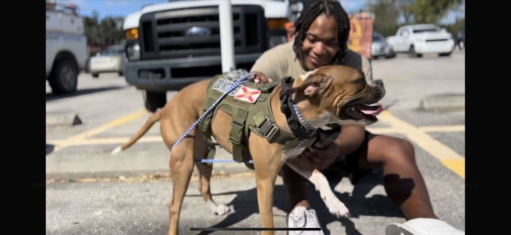 K9 Department