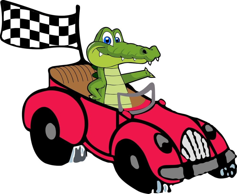 Alligator Auto Insurance of Tampa Bay