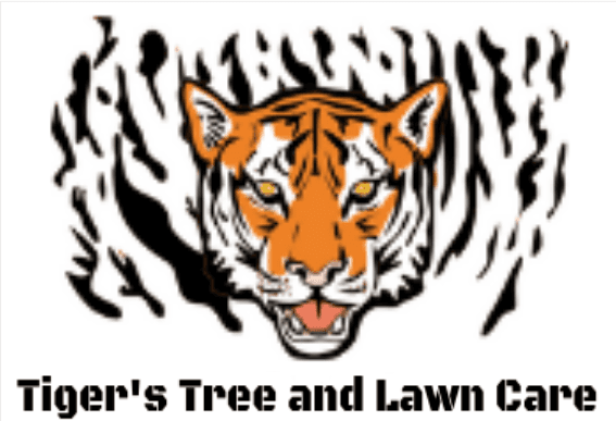 Tigers Tree and Lawn Care