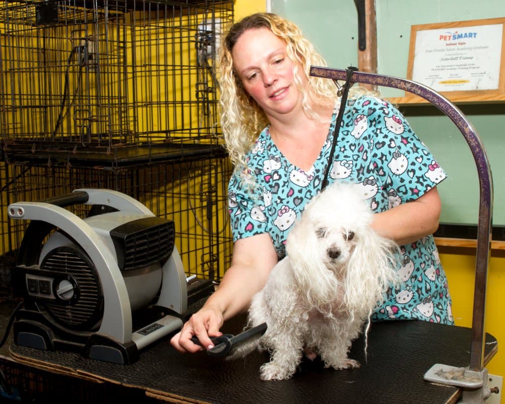 Pawdaddy's Pet Parlor & Playhouse