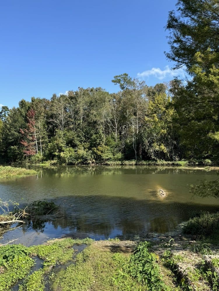 Guyte P. McCord Park