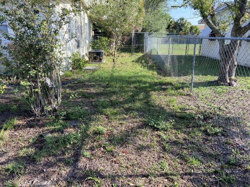 Brighter Vision Lawn Care