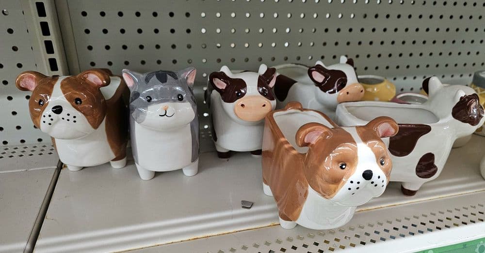 Dollar General