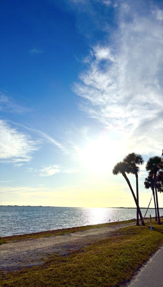 Dunedin Causeway