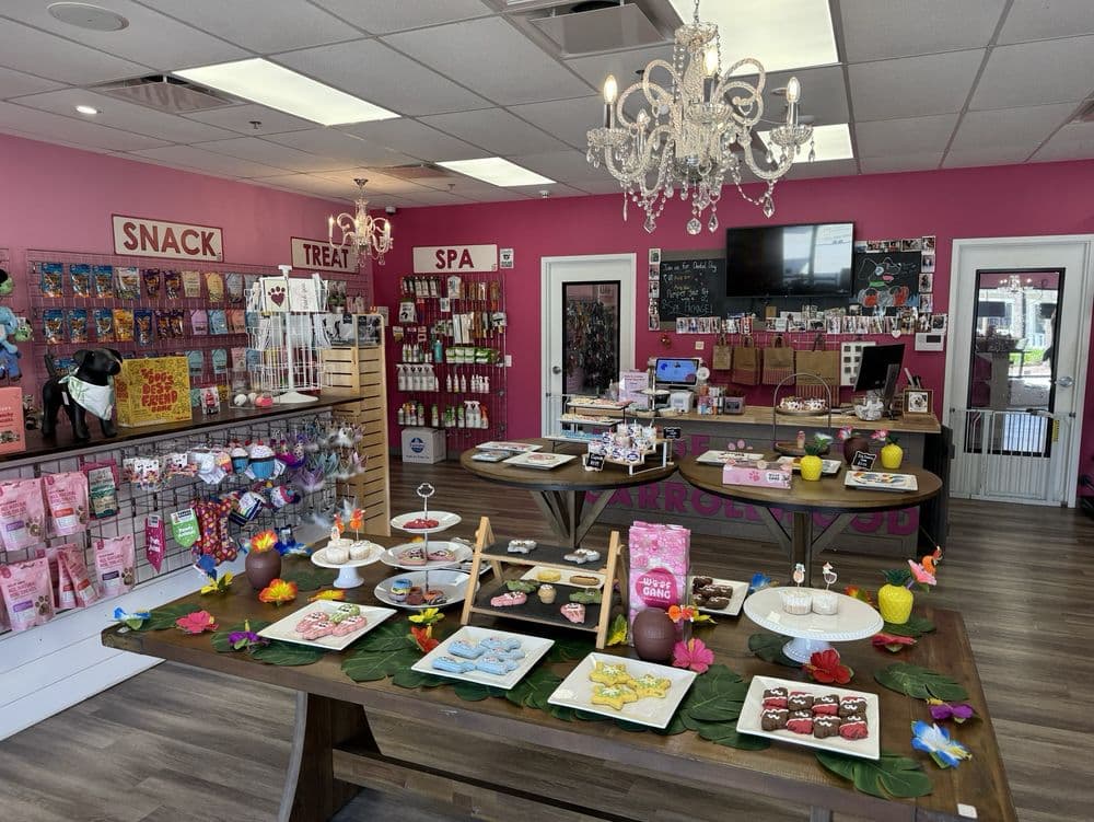 Woof Gang Bakery & Grooming Carrollwood