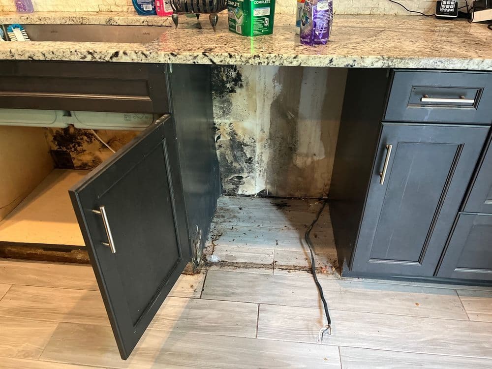All American Water Restoration