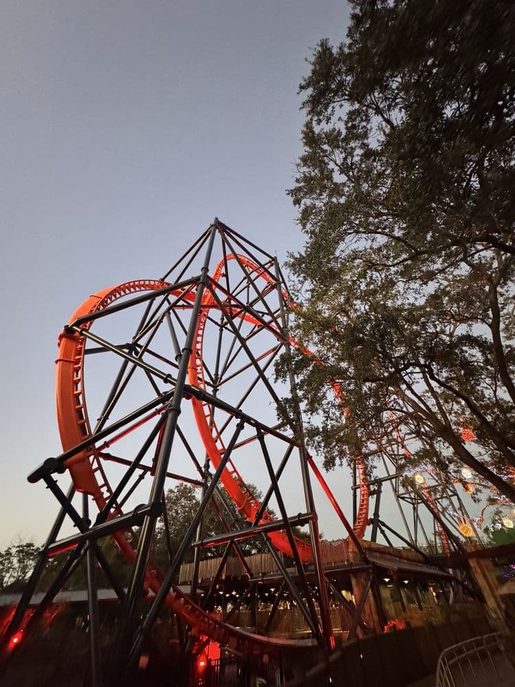 Tigris