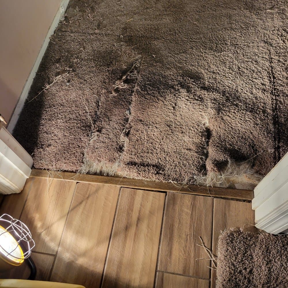 AAA Mr Mike Carpet Care