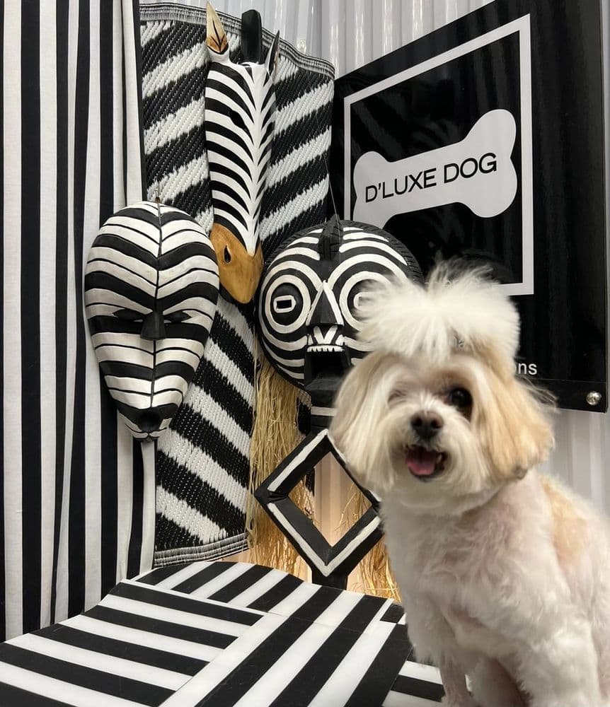D'luxe Dog Pet Concierge & Boutique