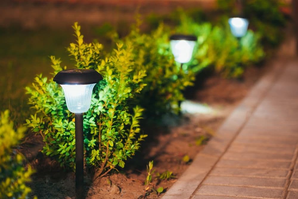 By Design Landscape
