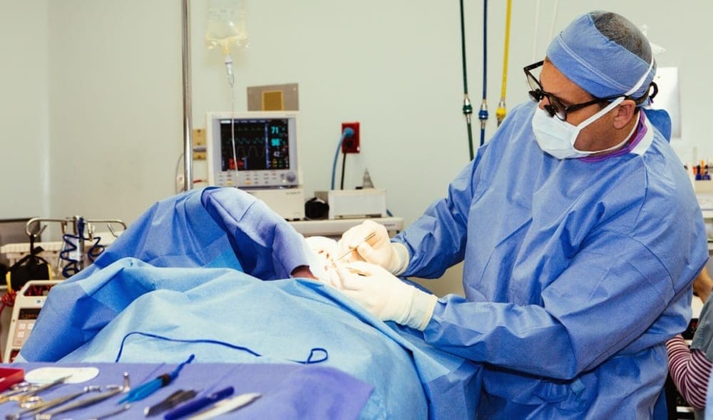 David E Halpern,  MD