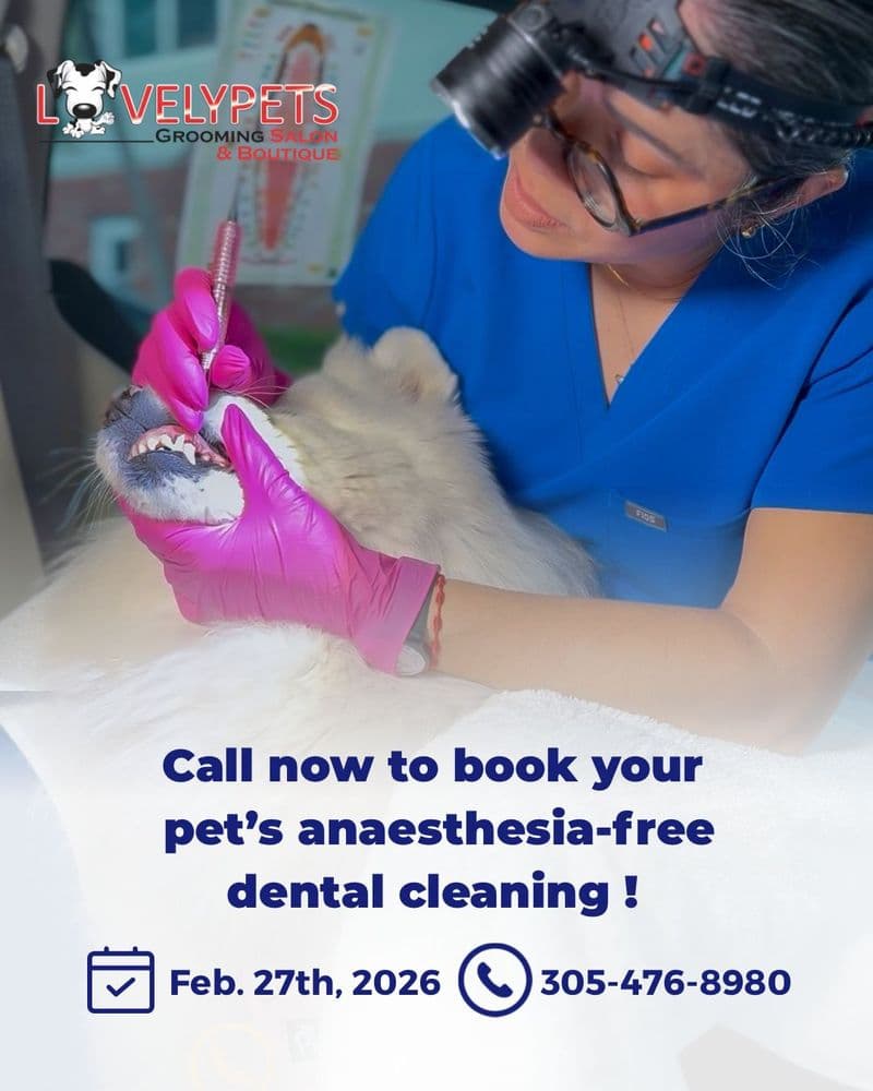 Lovely Pets Grooming Salon & Boutique