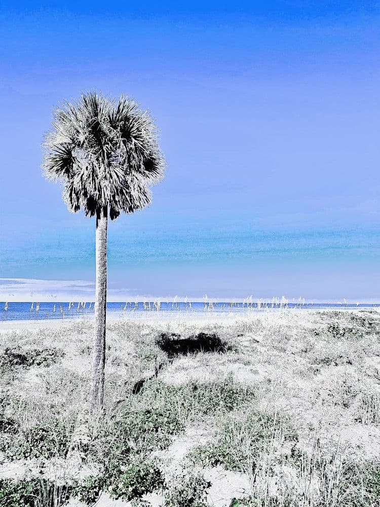 Madeira Beach
