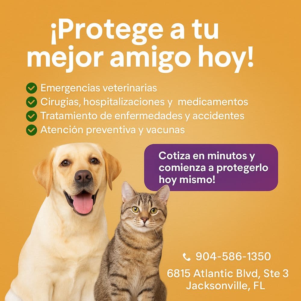 Univista Insurance