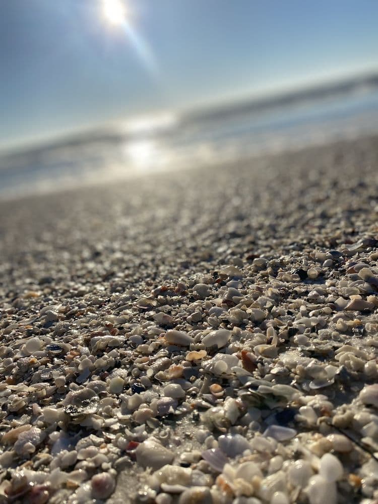 Cortez Beach