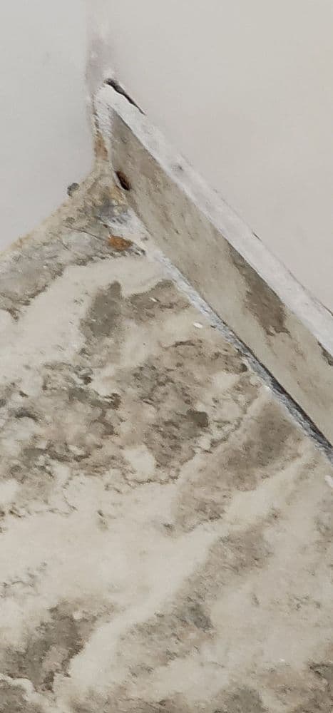 Quality Inn At International Drive