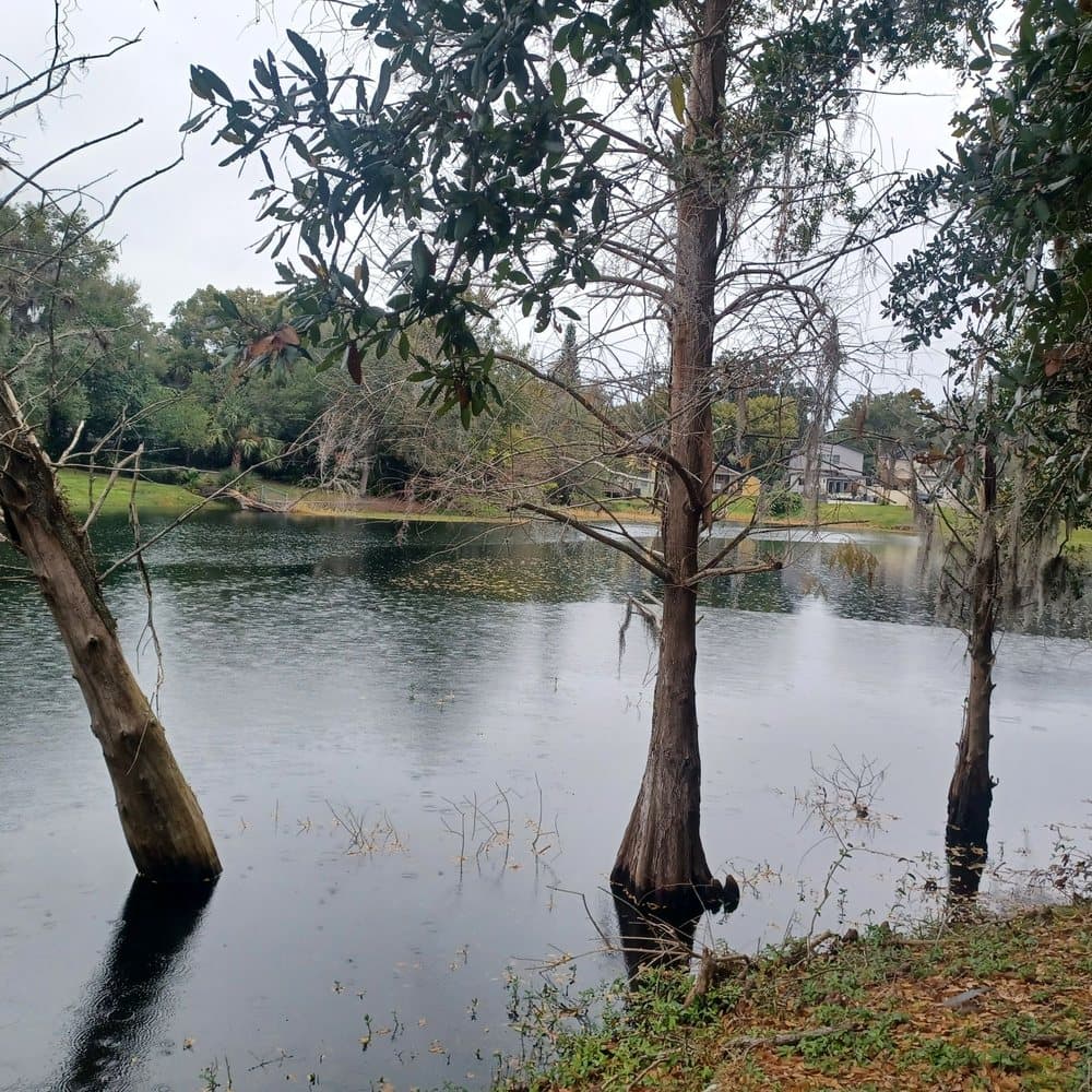 Lake Emerald Park