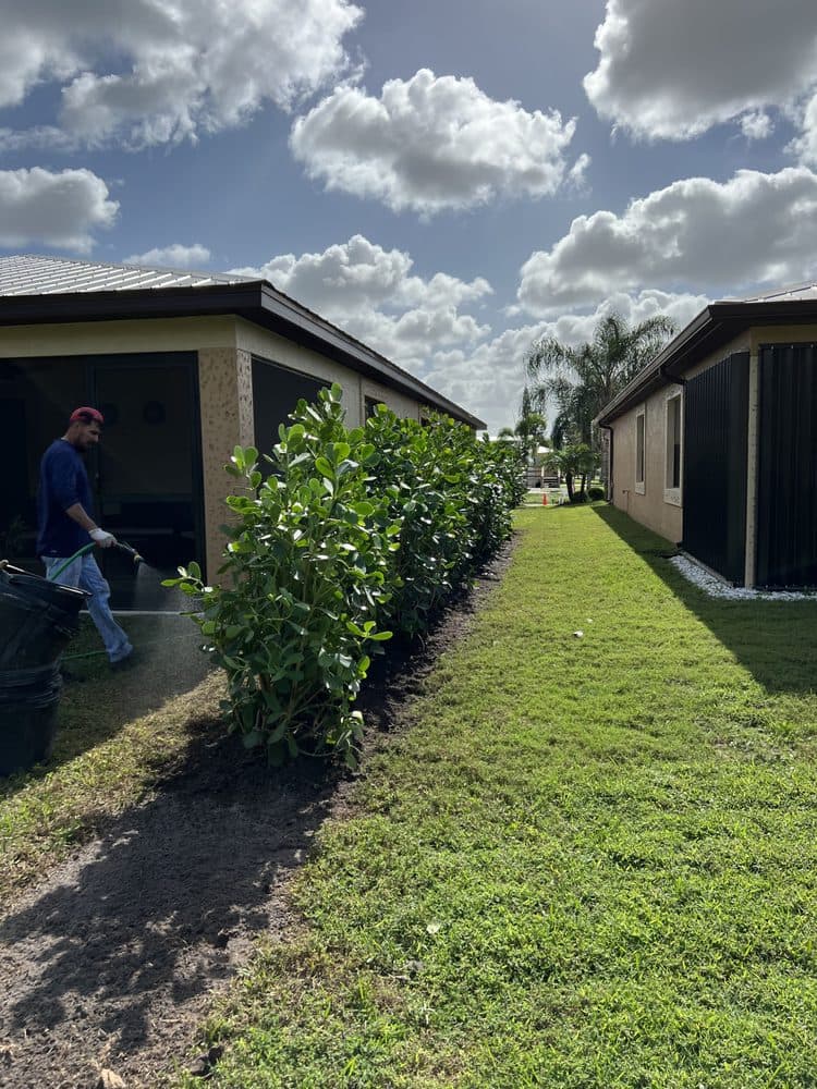 Cano Landscaping & More