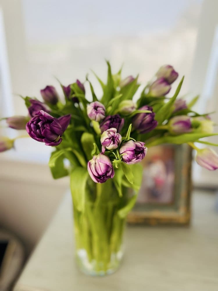 BloomsyBox