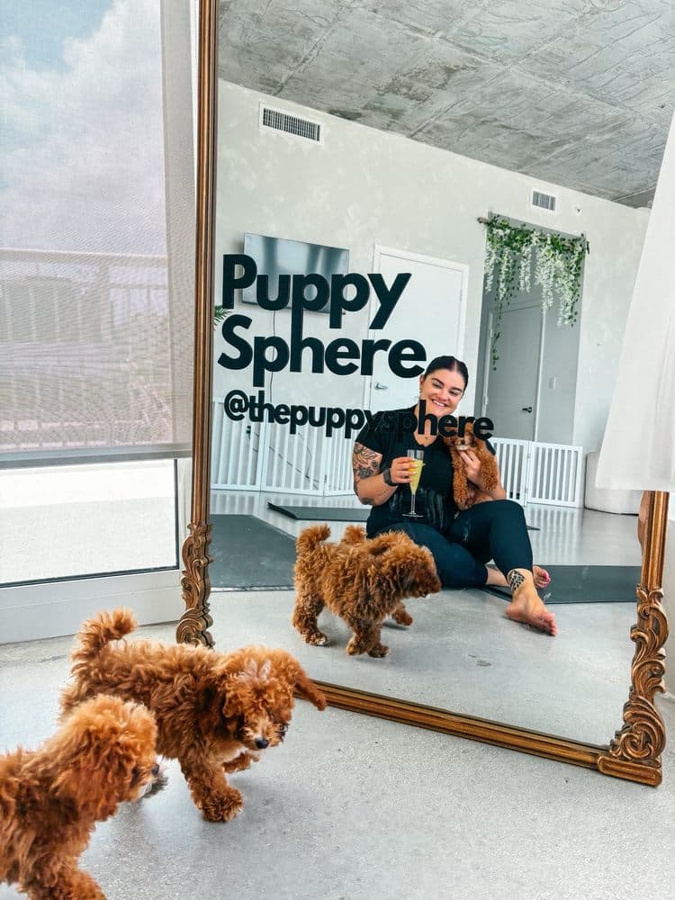 Puppy Sphere