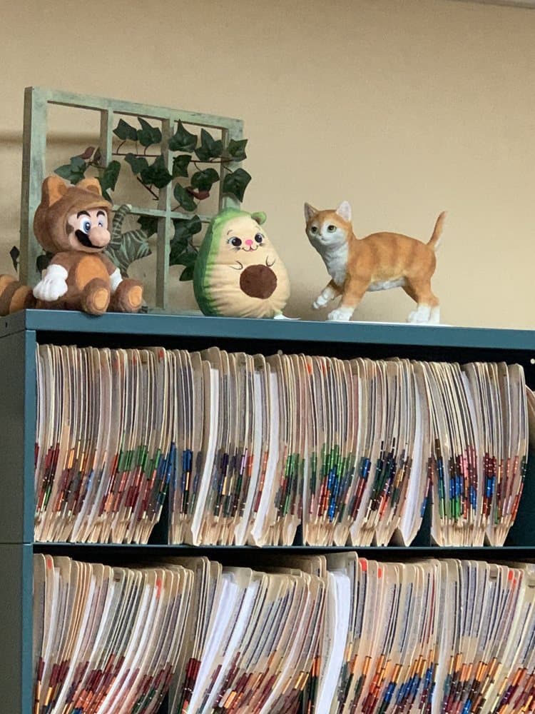 JungleLife Animal Hospital