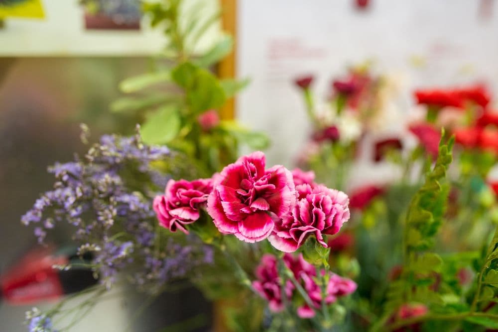 Edgewood Flowers