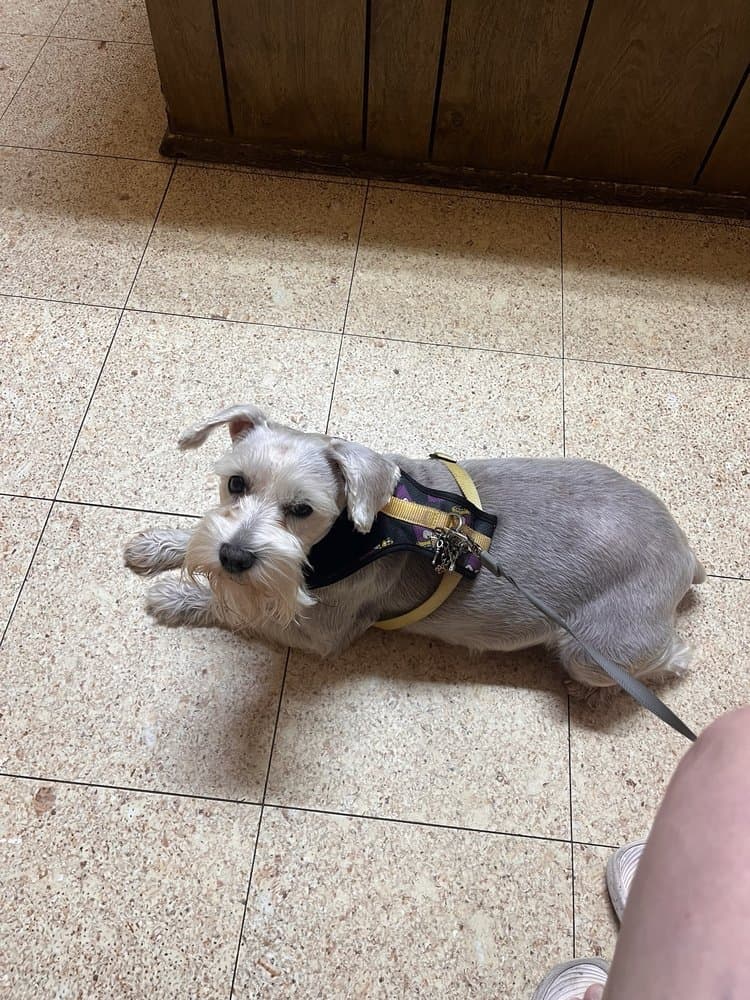 College Park Animal Clinic