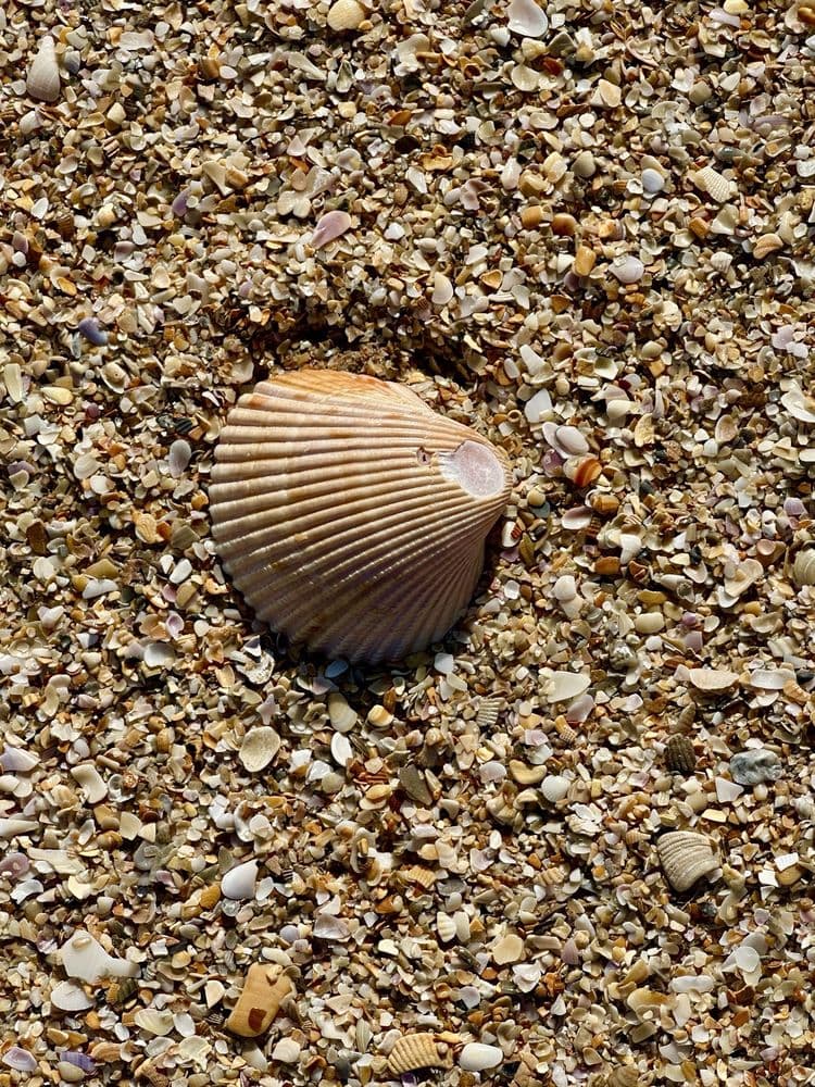 Mary McLeod Bethune Beach Park