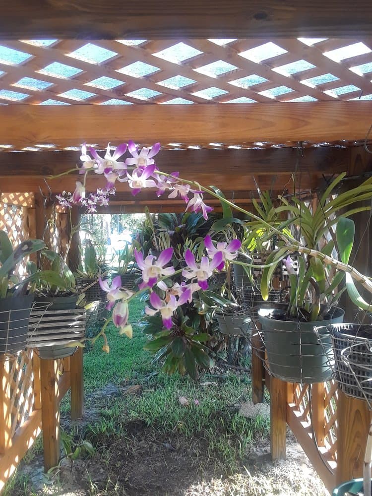 Creative Landscaping of SWFL