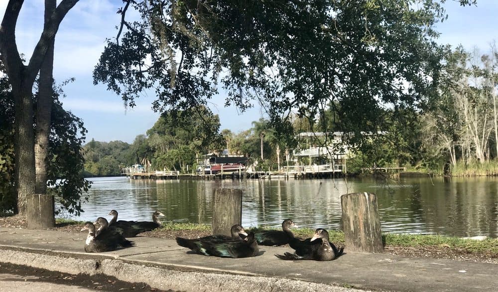 River Boulevard Park